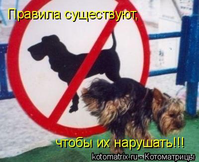 http://cdn.trinixy.ru/pics3/20080425/kotomatrix_47.jpg