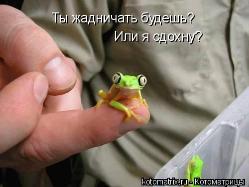 http://cdn.trinixy.ru/pics3/20080425/kotomatrix_57.jpg