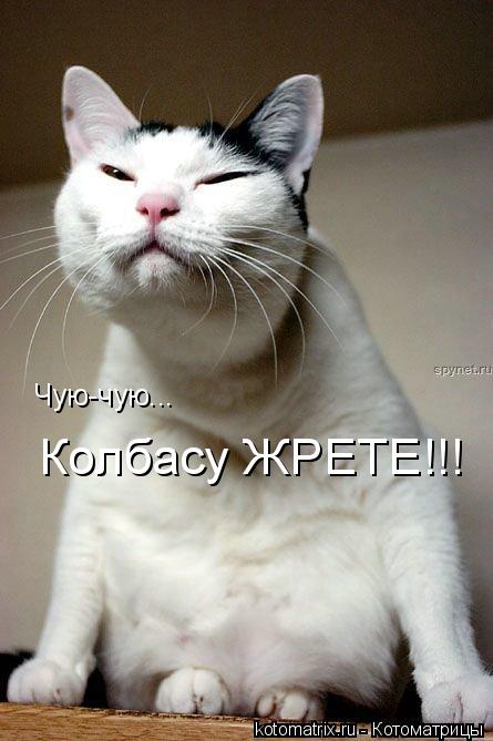 http://cdn.trinixy.ru/pics3/20080425/kotomatrix_64.jpg