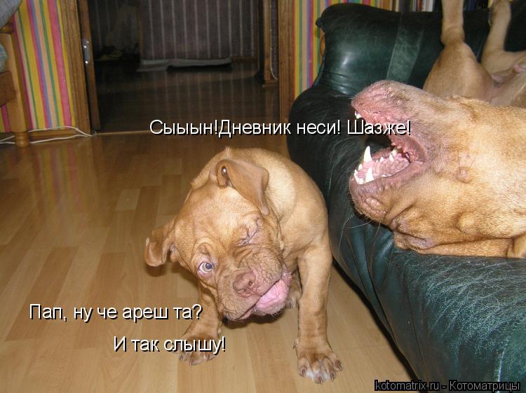 http://cdn.trinixy.ru/pics3/20080425/kotomatrix_66.jpg