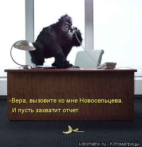 http://cdn.trinixy.ru/pics3/20080425/kotomatrix_70.jpg