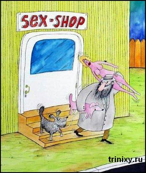 Приходит в секс-шоп постоянный клиент и просит показать новые поступления.