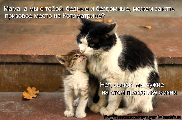 http://cdn.trinixy.ru/pics3/20081120/kotomatrix_02.jpg