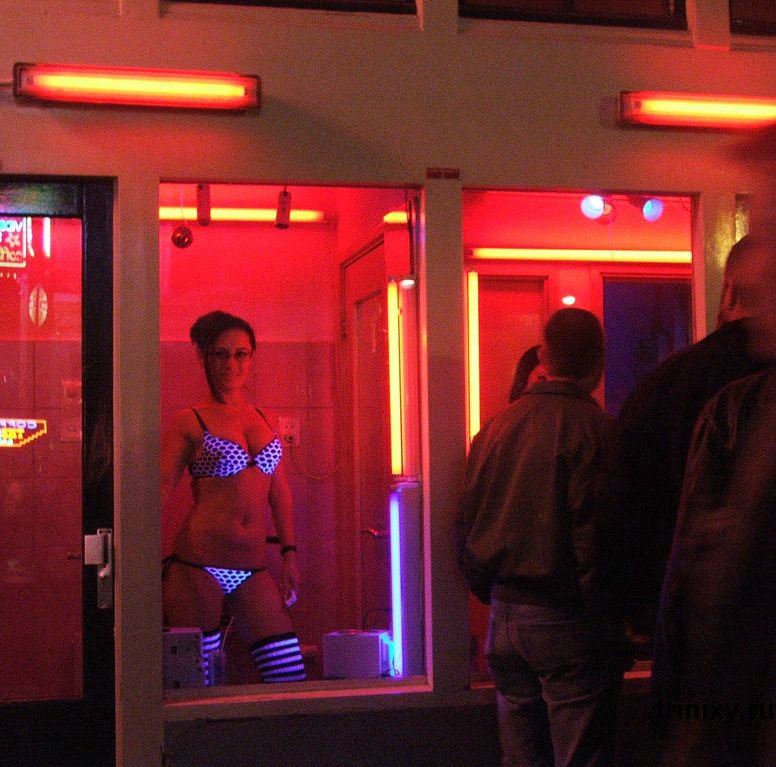 Секс В Публичных Домах Голландии