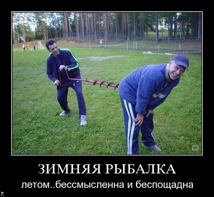 http://cdn.trinixy.ru/pics4/20091204/demotivatory_81.jpg