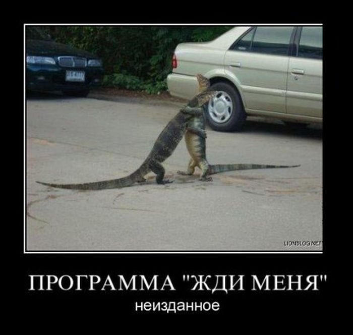 http://cdn.trinixy.ru/pics4/20111116/demotivatory_02.jpg