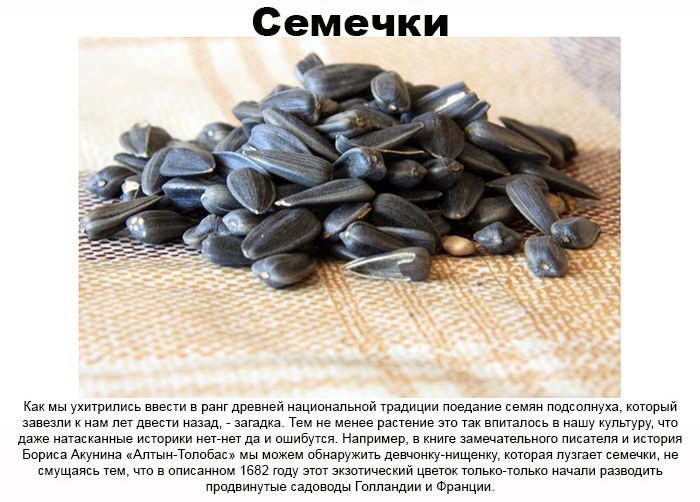 http://cdn.trinixy.ru/pics5/20130318/tolko_v_rus_11.jpg
