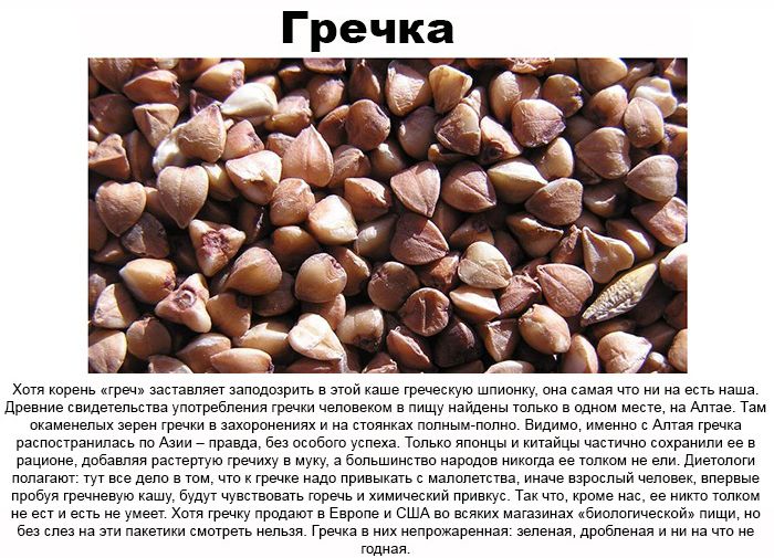 http://cdn.trinixy.ru/pics5/20130318/tolko_v_rus_20.jpg