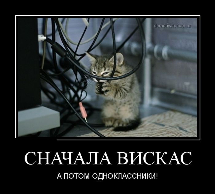 http://cdn.trinixy.ru/pics5/20130809/demotivatory_10.jpg