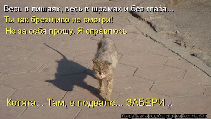 http://cdn.trinixy.ru/pics5/20140221/kotomatrix_41.jpg