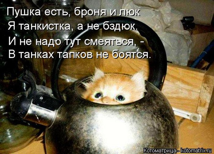 http://cdn.trinixy.ru/pics5/20150724/kotomatrix_49.jpg