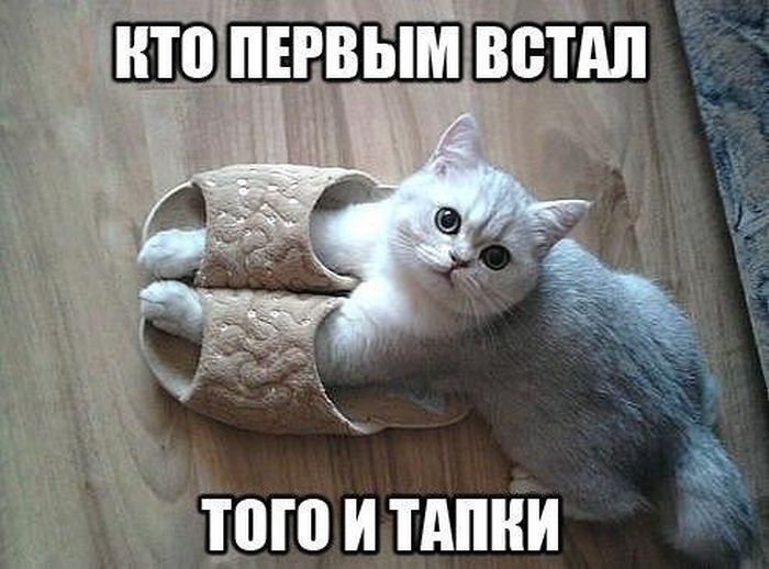 http://cdn.trinixy.ru/pics5/20160301/podborka_vecher_26.jpg