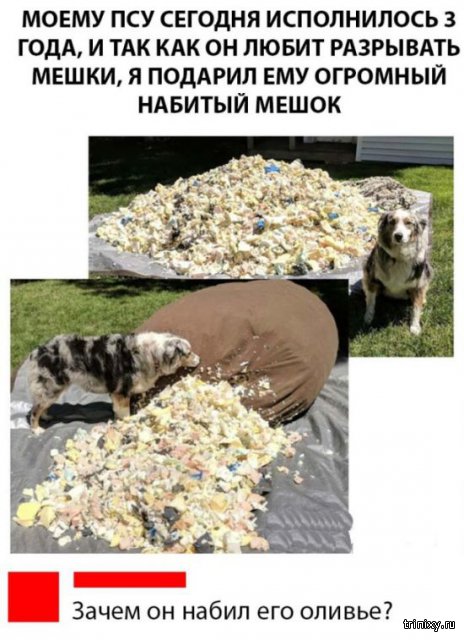 1532539496_bodborka_vecher_23.jpg
