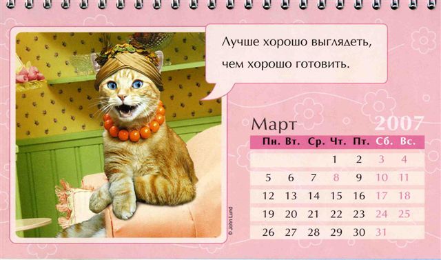 Женский календарь на 2007 год )) (12 картинок)