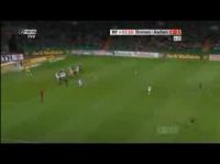 Красивый гол в чемпионате Германии (2.6 мб)