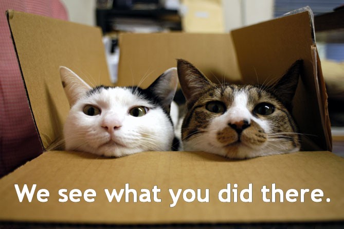 Коты американских форумов - самая полная подборка (241 фото, разбито на 2 страницы)