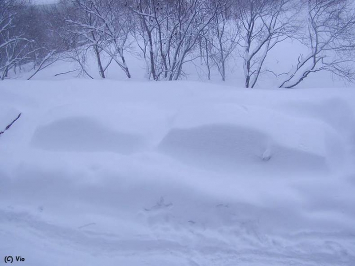 Камчатская зима - настоящая зима (15 фото)