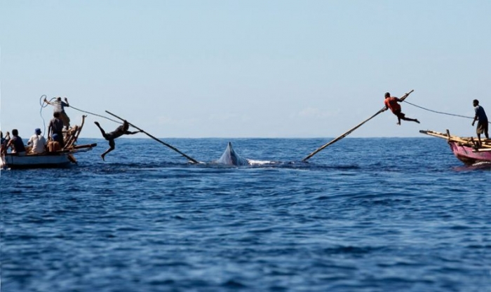 ЖЕСТЬ! Охота на кита (5 фото)
