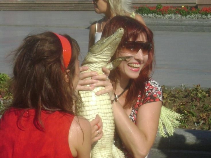 Ручной крокодил в Хабаровске (вроде как) (3 фото)