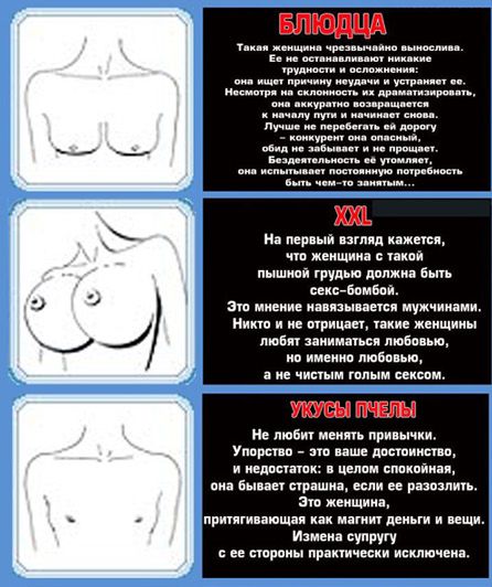 Женская грудь и характер