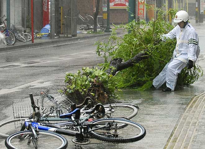 Тайфун Man-Yi в Японии (10 фото)