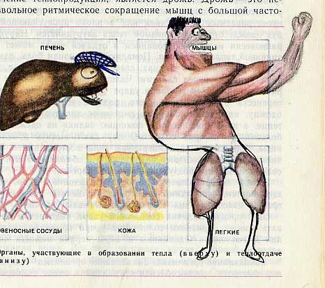 Учебник по биологии (34 фото)