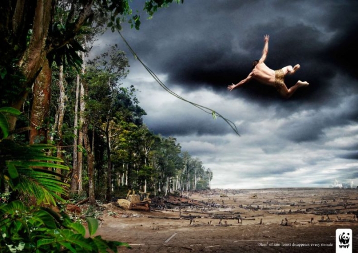 WWF - за живую планету! (33 постера)