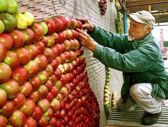 Яблочный креатив (9 фото)