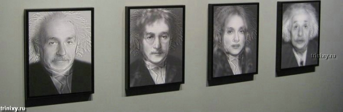 Иллюзии с Эйнштейном (13 фото)
