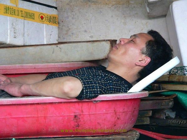 Спящие китайцы (62 фото)