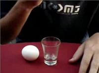 Классный трюк с яйцом (5.5 мб)