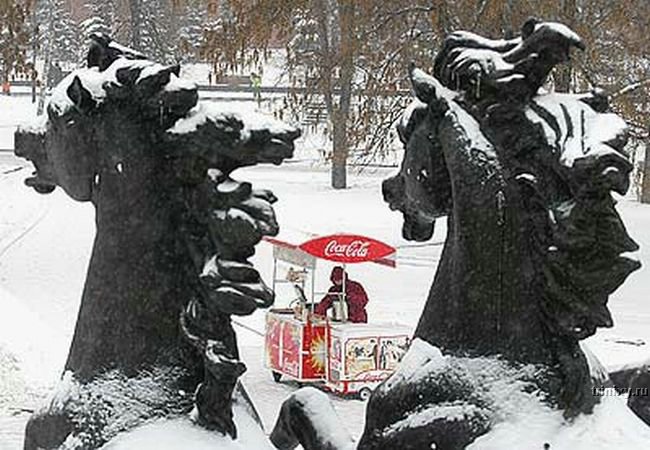 Снегопады в Москве и их последствия (38 фото)