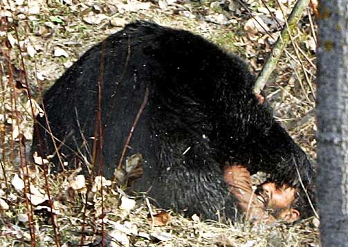 Охота на медведя чуть не закончилась трагедией (6 фото)