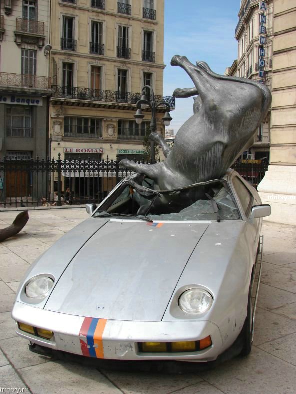 Как корова на Porsche упала (12 фото)