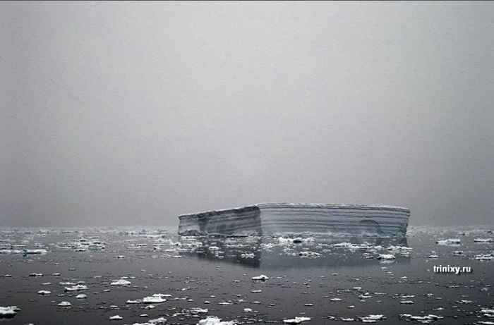 Последний айсберг (26 фото)