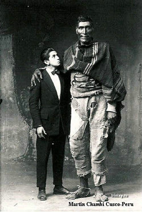 Самые высокие люди на планете (48 фото)
