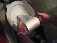 Разматываем в унитаз рулон туалетной бумаги (2.1 мб)