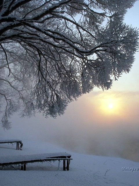 Русская зима (39 фото)