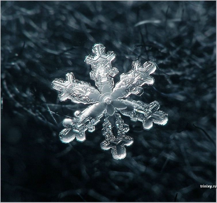 Снежинки - чудо природы (25 фото)