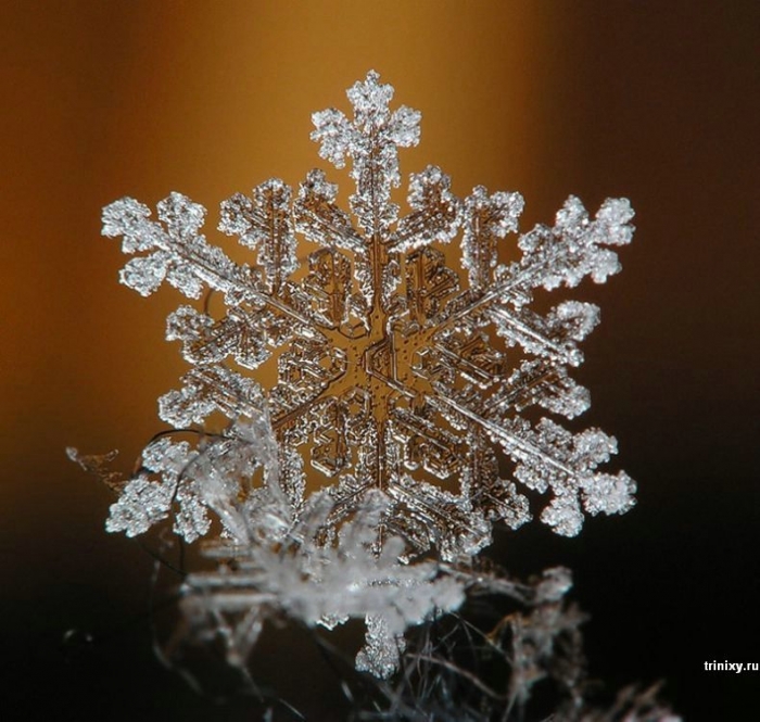 Снежинки - чудо природы (25 фото)