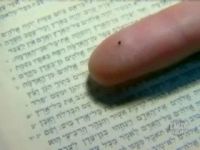 Самая маленькая Библия в мире (0.6 мб)