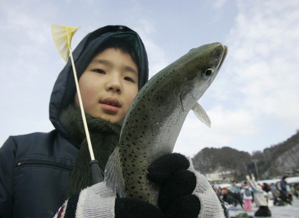 Фестиваль зимней рыбалки в Корее (14 фото)