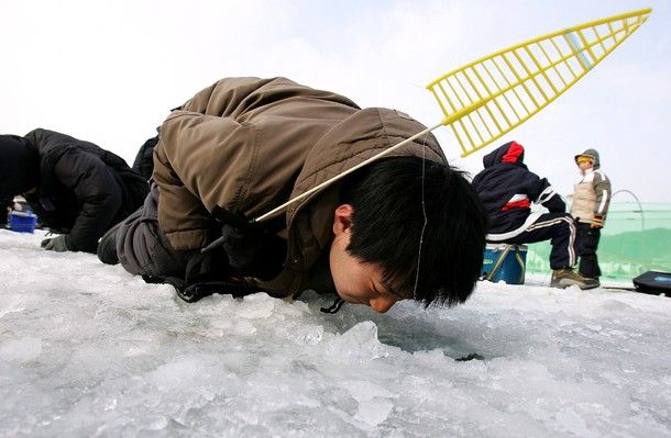 Фестиваль зимней рыбалки в Корее (14 фото)