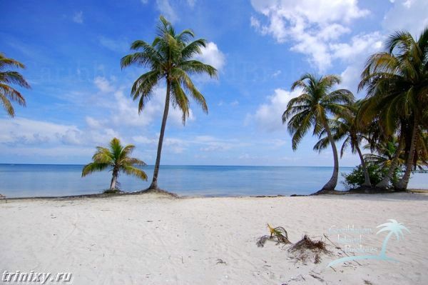 Сколько стоит остров в Карибском море? (66 фото)