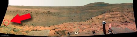 Обнаружена жизнь на Марсе! (4 фото)