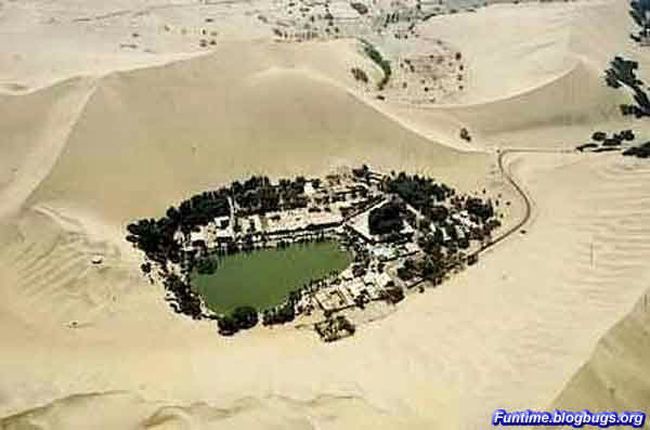 Невероятный оазис в пустыне (17 фото)