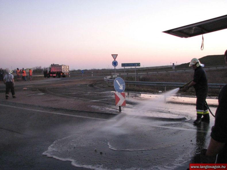 Хрюши захватили шоссе в Венгрии (10 фото)