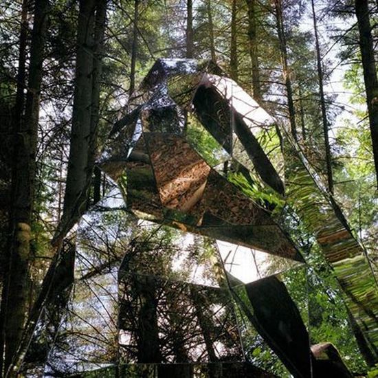 Зеркальная дыра в лесу (4 фото)