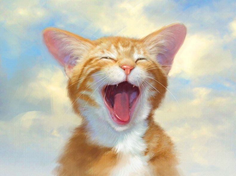 Рисунок подмигивающий кот