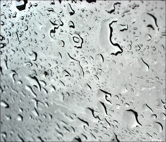 Радость дождя (31 фото)